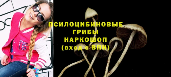 гашик Верея