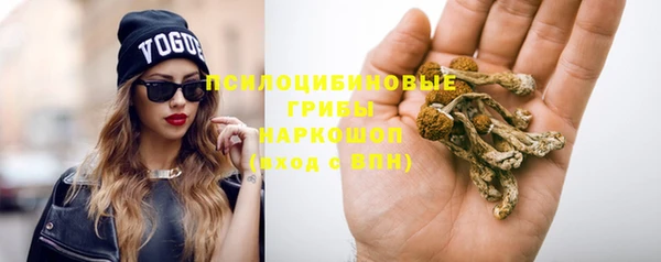 скорость Бородино