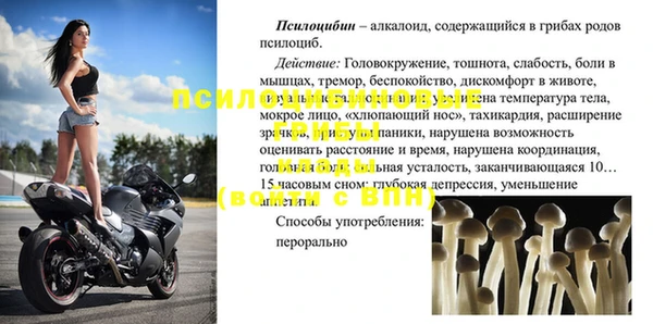 гидра Бугульма